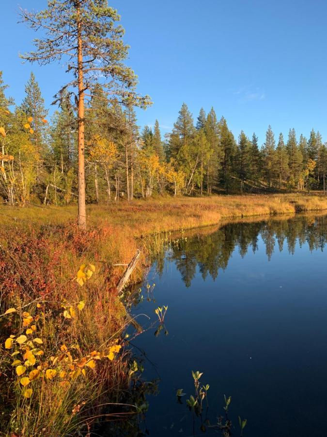 Off-Grid Cabin In Nattavaara Lapland Exterior photo