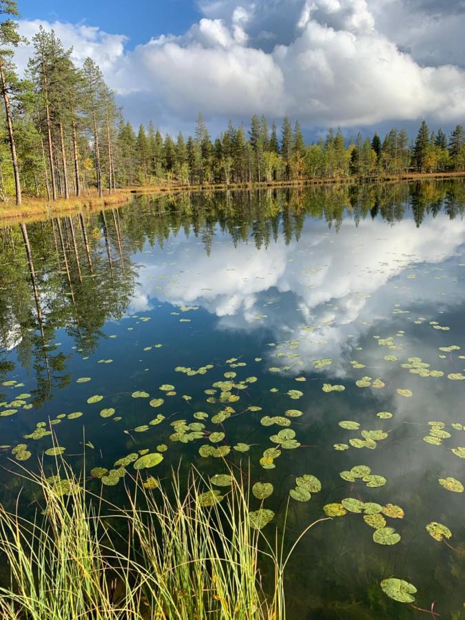Off-Grid Cabin In Nattavaara Lapland Exterior photo