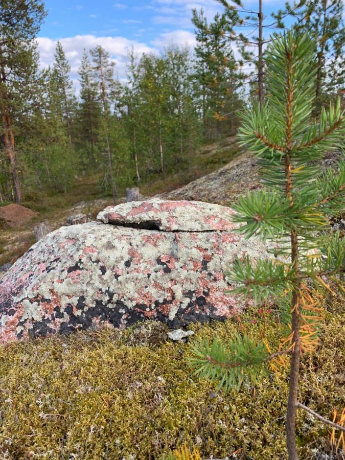 Off-Grid Cabin In Nattavaara Lapland Exterior photo